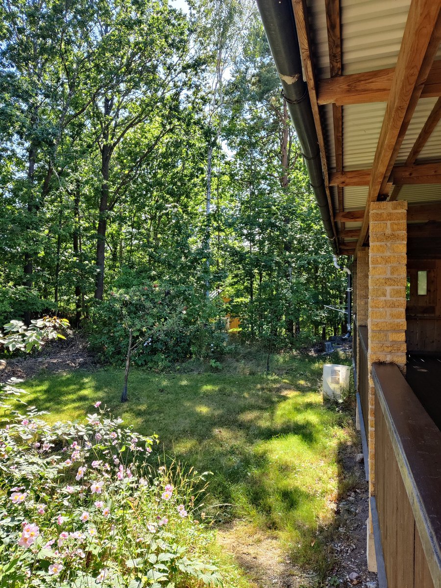 Morgan Magnusson tweet media