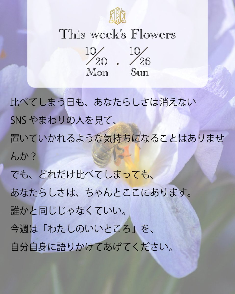 FlowermessageO's tweet photo. 🌸Lovely Morning!
10/20(月)〜10/26(日)の #WeeklyMessage
SNSやまわりの人を見て、
置いていかれるような気持ちになることはありませんか?
でも、どれだけ比べてしまっても、
あなたらしさはちゃんとここにあります。
誰かと同じじゃなくていい。
今週は「わたしのいいところ」を、
自分自身に語りかけてあげてください。
カードは1〜3の中から、直感で1枚お選びください🌸
✨今週もあなたの心が、やわらかな光で包まれますように✨
#オラクルカード #FlowerMessage