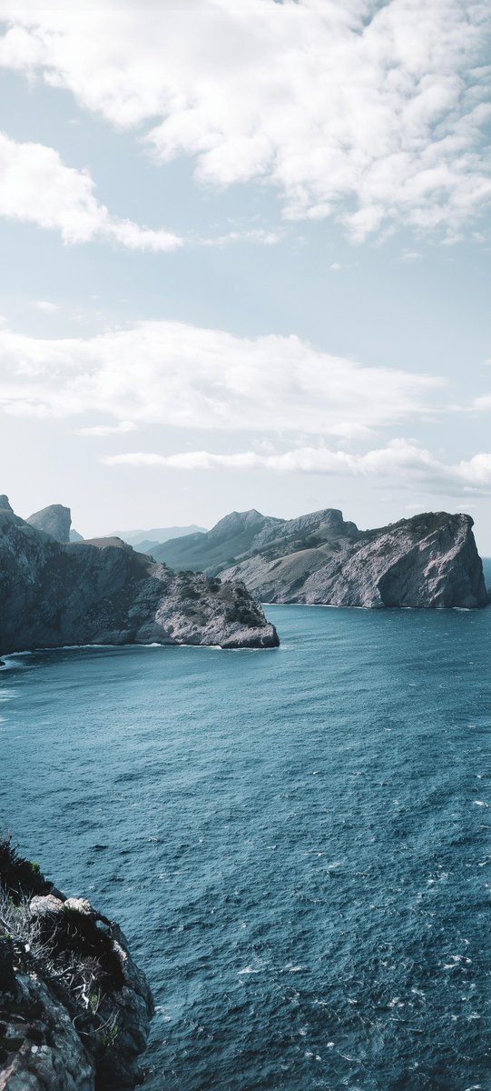 Paperoidd's tweet image. Salt &amp;amp; Stone🟦