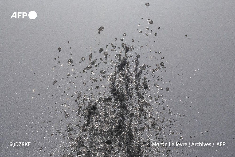 Agence France-Presse tweet media