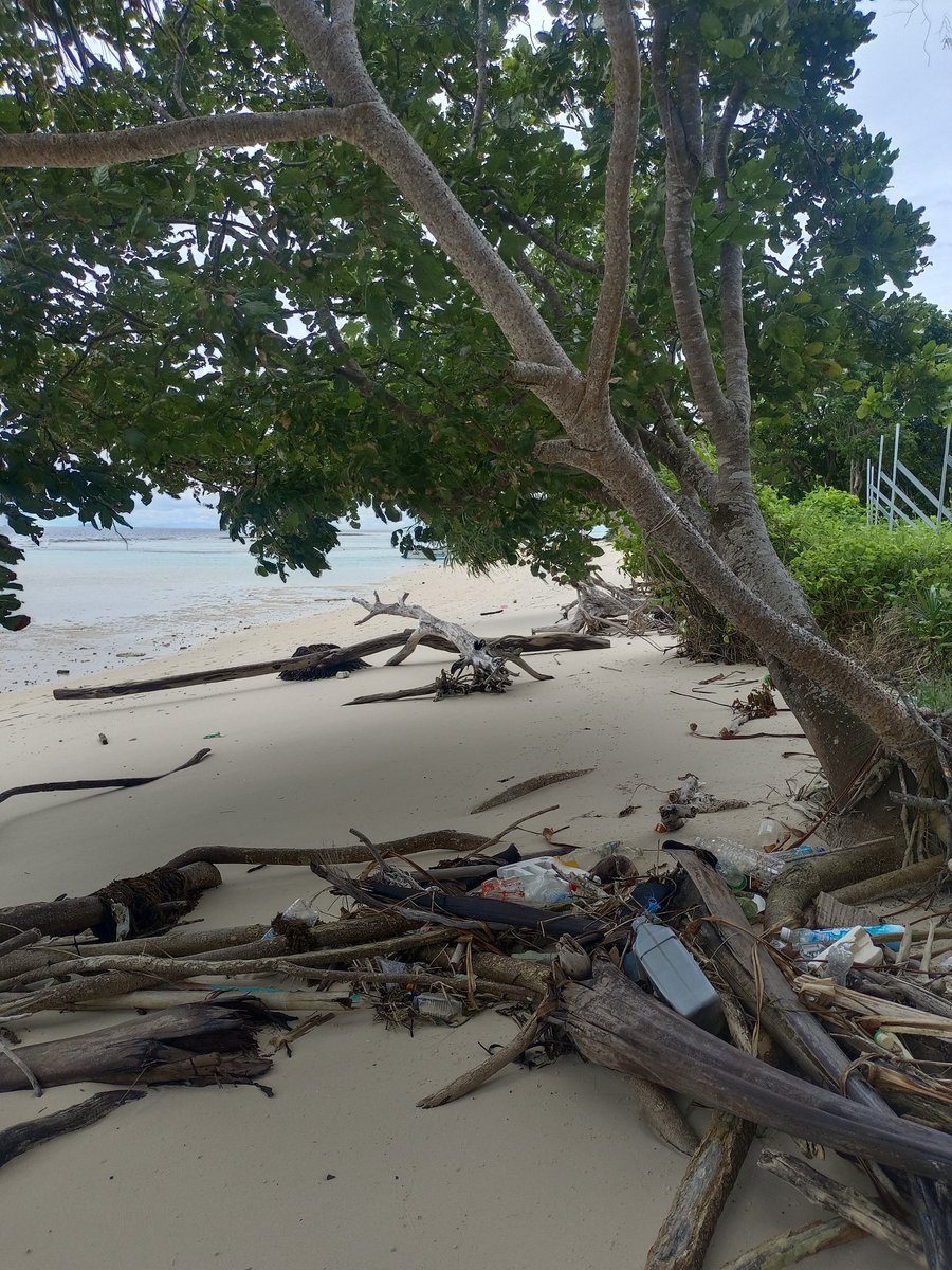 Crazy how people don't seem to give a fuck about waste in south East Asia 

Is it like this in all countries there? 

I'm with Italians and we're shocked at what we see