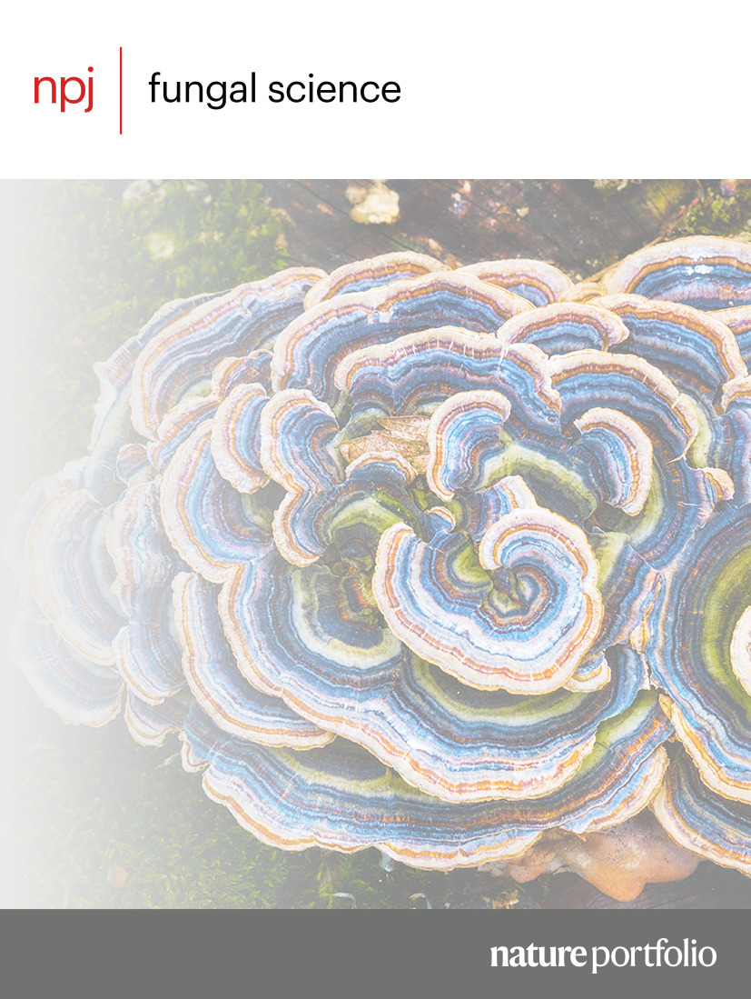 npj Journals (@nature_npj) on Twitter photo 🍾We're really excited to announce the launch of npj Fungal Science, a new open-access journal in the <a href="/NaturePortfolio/">Nature Portfolio</a>! #npjFungalSci will publish high-quality research that advances knowledge in the field of mycology. nature.com/npjfungalsci/ 🍾We're really excited to announce the launch of npj Fungal Science, a new open-access journal in the <a href="/NaturePortfolio/">Nature Portfolio</a>! #npjFungalSci will publish high-quality research that advances knowledge in the field of mycology. nature.com/npjfungalsci/