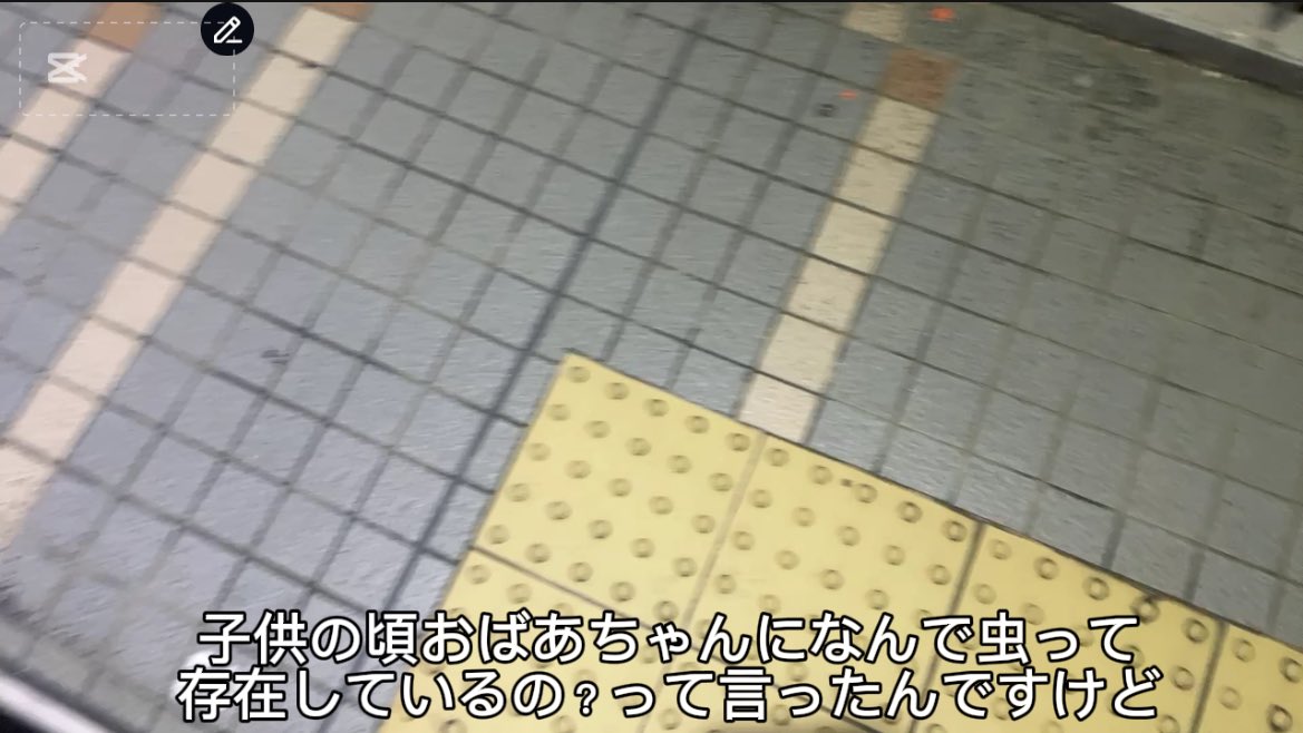 dakkotite's tweet photo. ゴキブリと戦ったら負けて家追い出された https://t.co/n0hU7Oduil