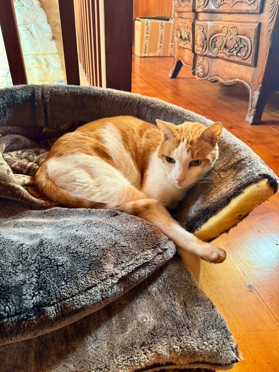 Isabelle Chataignier tweet media