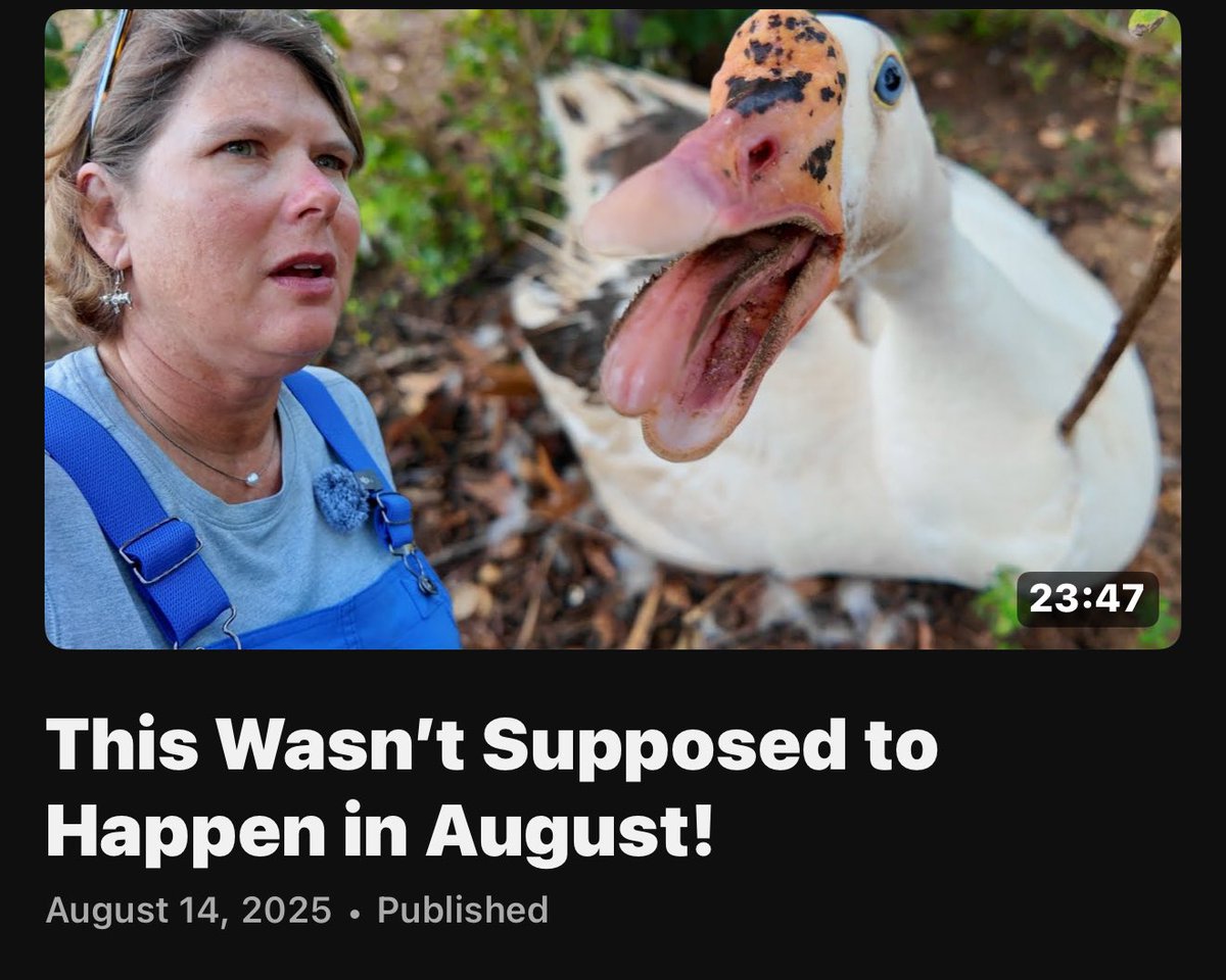 All new episode: youtu.be/gVA__9a1Qhw