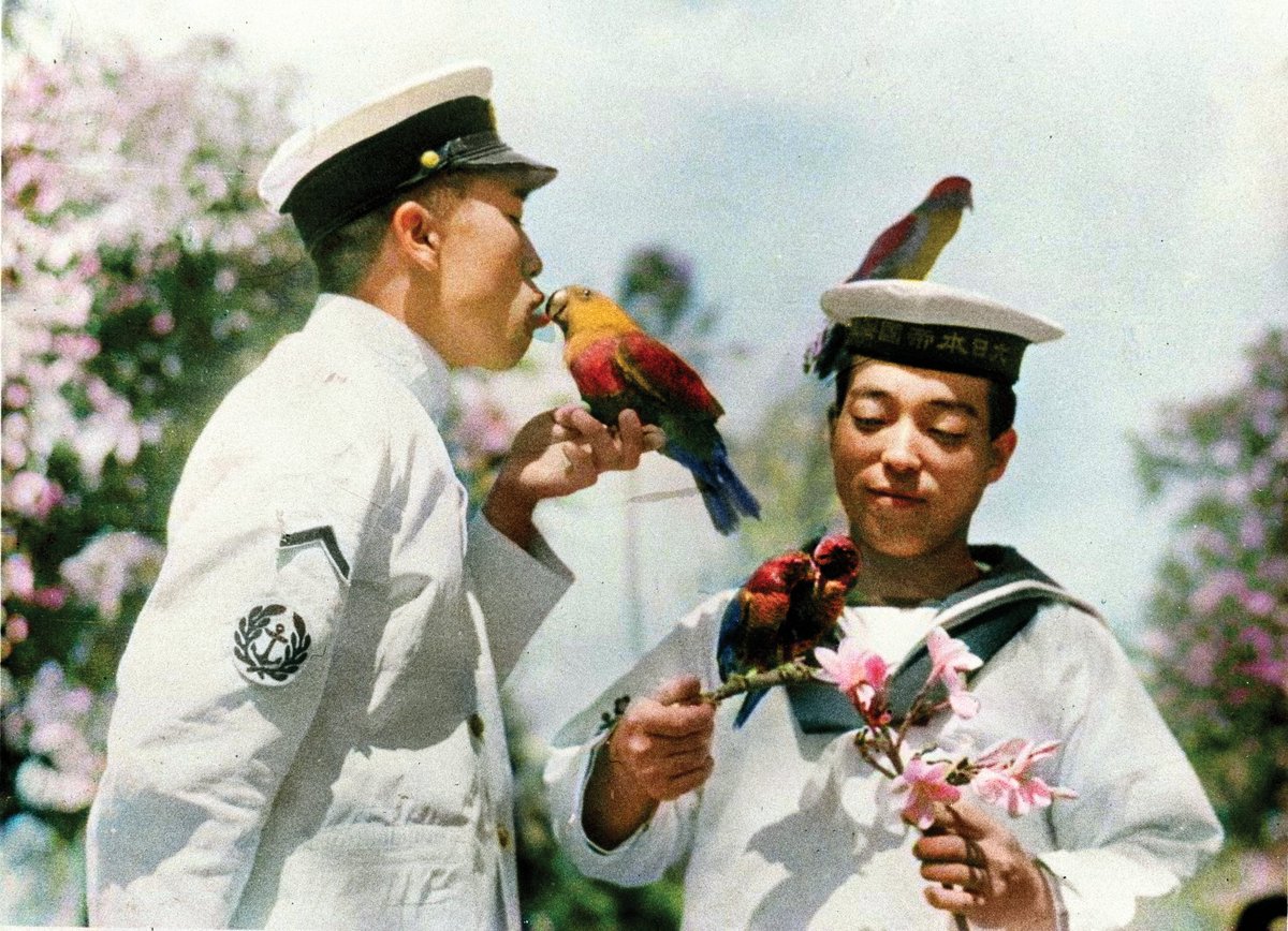 BIJapan's tweet image. 【戦後80年】
東京大学大学院の渡邉英徳教授を取材しました @hwtnv

教授は戦時中の白黒写真をカラー化＆動画化に取り組んでいます
一例が鳥と戯れる水兵の写真から作ったこの動画です

写真提供：毎日新聞社
作成：渡邉英徳研究室（Kling AI使用）
※生成AI動画は現実と異なる場合があります