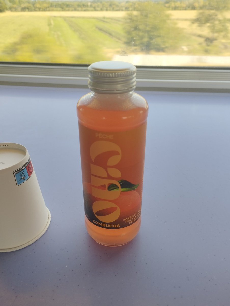 5 balles pour de l'ice tea gazeux c'est pas fou