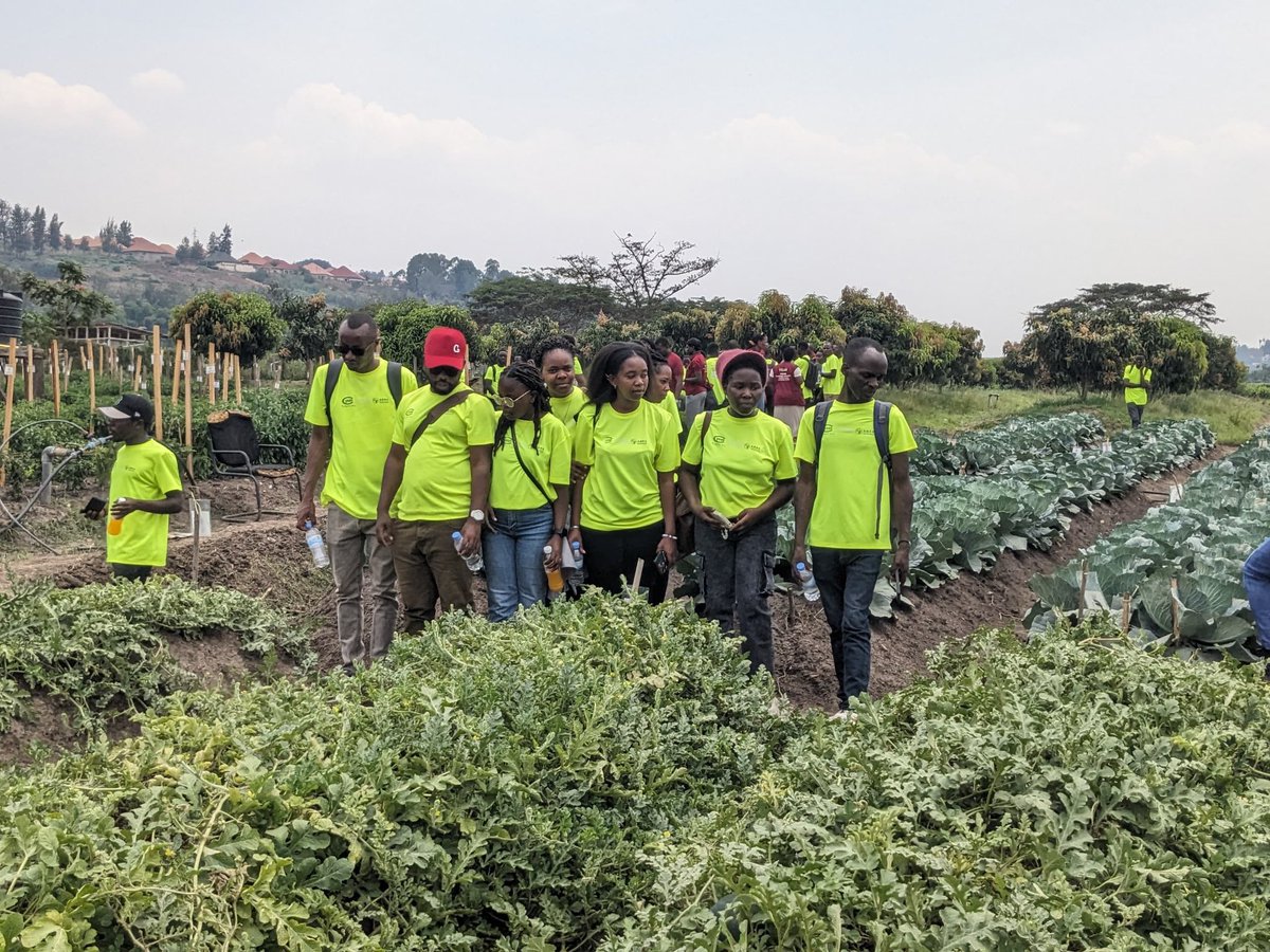 Today is the second day of our YEFFA Youth Caravan. After visiting key agri-businesses in <a href="/RwamaganaDistr/">Rwamagana District</a> <a href="/KayonzaDistrict/">Kayonza District</a> and <a href="/GatsiboDistrict/">Gatsibo District</a> they are visiting the <a href="/HcoeIsrael/">Rwanda-Israel HCoE</a> , a horticulture center in <a href="/GasaboDistrict/">Gasabo District</a> . We believe that exposure and learning by seing is a key