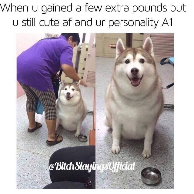 WholesomeMemes (@wholesomememe) on Twitter photo 