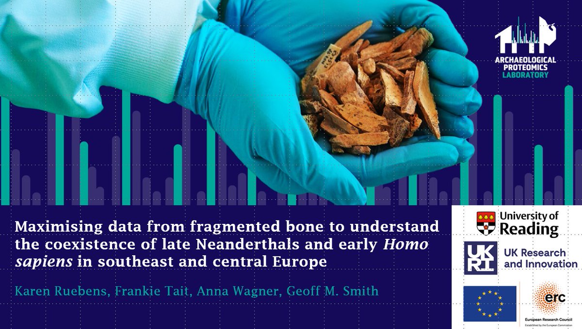 Archaeological Proteomics Lab tweet media