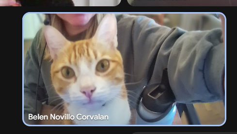 beluuuunc's tweet photo. Home office con el coco https://t.co/33cGBBIdKo