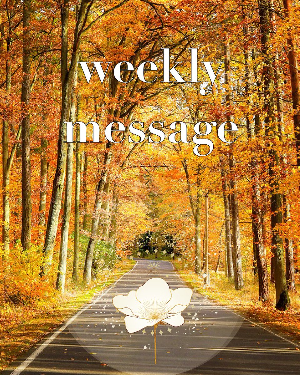 いーちゃん🐾໒꒱·̩͙⋆.* on X