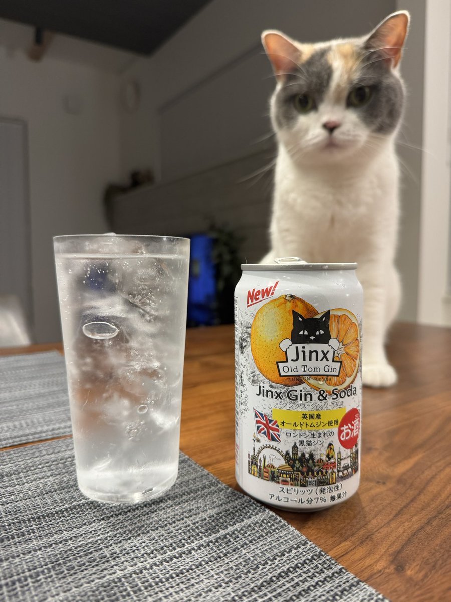 オールドトムジン缶も。
オレンジ果汁が入ってるんじゃないかと疑うくらいのボタニカル。美味い。