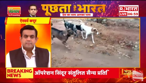 Republic_Bharat's tweet photo. #LIVE |आतंक' का विरोध, कुत्तों से नहीं 'प्रतिशोध' ! देखिए 'पूछता है भारत' ऐश्वर्य के साथ रिपब्लिक भारत पर : https://t.co/zqOOZjc3MN
.
.
.
#StrayDogs #StrayDogsSupremeCourt #DelhiStrayDogs #DelhiProtests #StrayDogsAttack #StrayDogsProtest #StrayDogsNCR #StreetDogsIndia #StrayDogsDelhiNews #SupremeCourtOrder