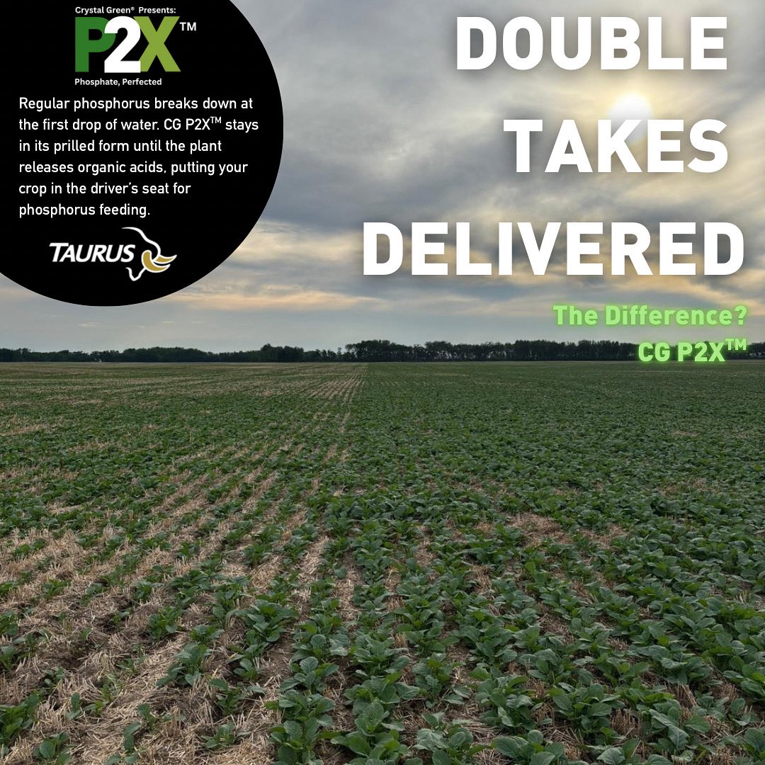 Phosphorus is perfected with CG P2X™ as your plants are in the driver’s seat.

Traditional phosphorus fertilizers dissolve the moment they hit water, tying up nutrients in soil, risking seedling injury, and leaving your ROI exposed. CG P2X™ on the other hand stays locked in its