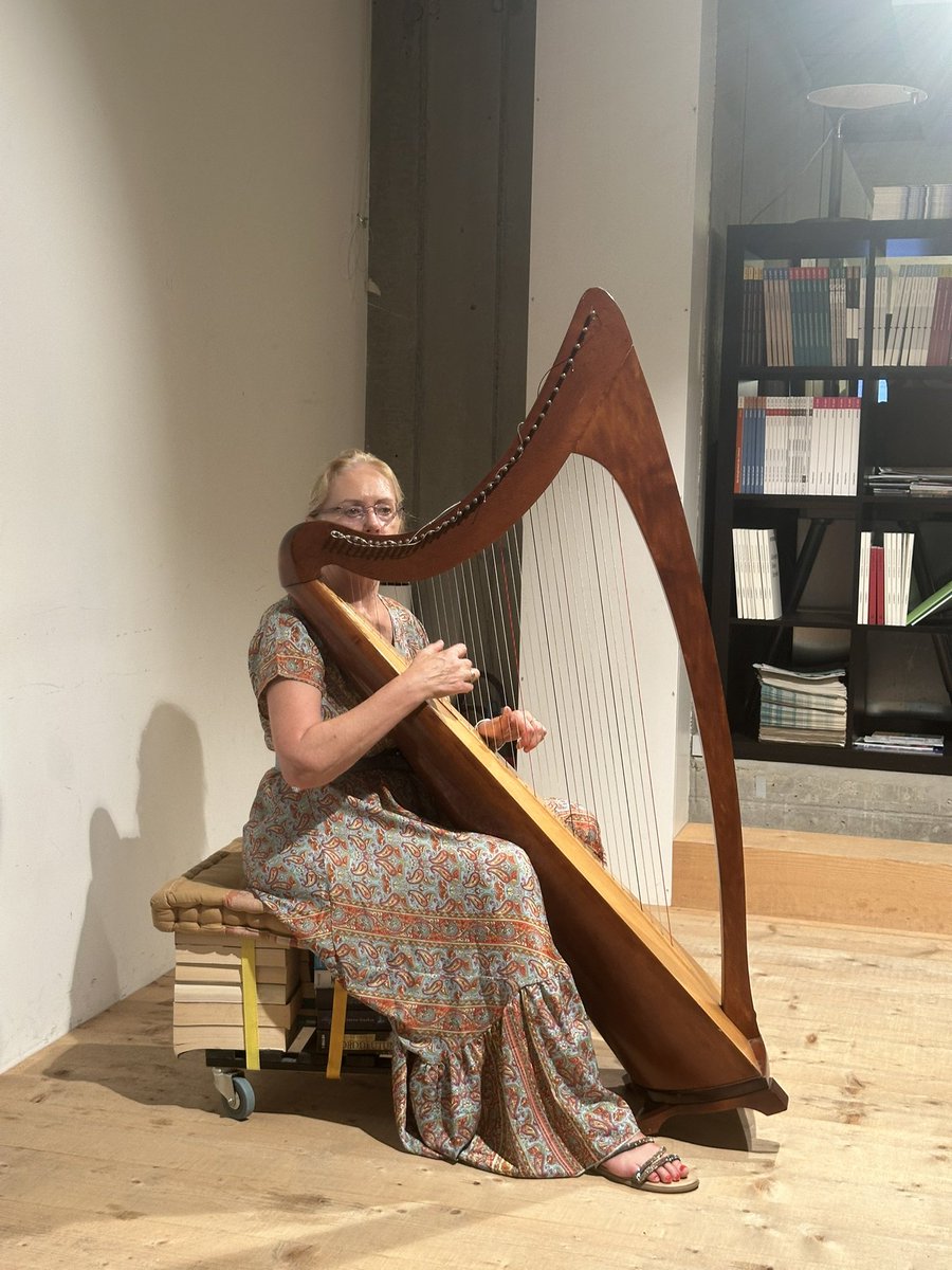 Closing the evening, Ambassador McGarry was glad to invite guests to a reception, featuring music by harpist Catherine Rhatigan. 

It was a great pleasure to connect with members of the small-but-mighty Irish community, as well as friends of Ireland in Liechtenstein! 🇮🇪🇱🇮 (3/3)