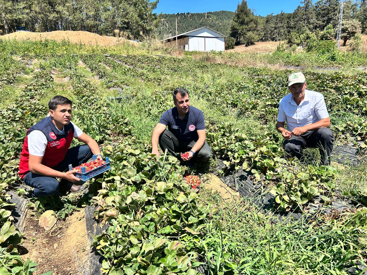 Turkoglutarim's tweet photo. İl Müdürümüz Sayın Ramazan BİLİR ve İlçe Müdürümüz Ali ŞAKALAR ile birlikte, Türkoğlu İlçemiz Murat Çakıroğlu Mahallesi’nde faaliyet gösteren Çilek Üreticileri Birliğini ziyaret ederek üreticilerimizle bir araya geldik. 🍓
@ramazanbilir46
@AliSakalar46 https://t.co/6whSUHkmhK