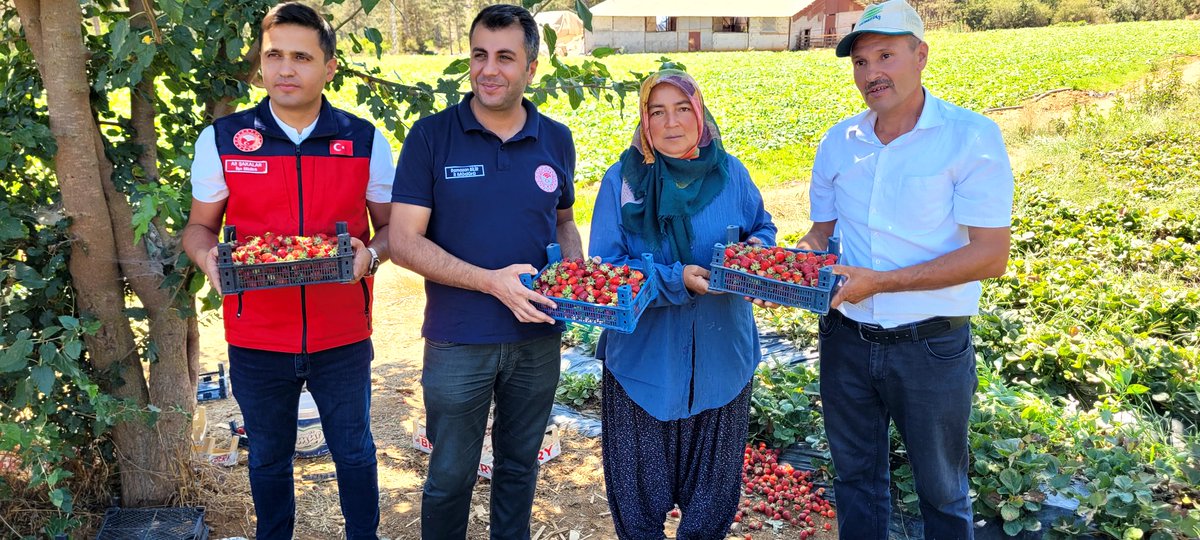 Turkoglutarim's tweet photo. İl Müdürümüz Sayın Ramazan BİLİR ve İlçe Müdürümüz Ali ŞAKALAR ile birlikte, Türkoğlu İlçemiz Murat Çakıroğlu Mahallesi’nde faaliyet gösteren Çilek Üreticileri Birliğini ziyaret ederek üreticilerimizle bir araya geldik. 🍓
@ramazanbilir46
@AliSakalar46 https://t.co/6whSUHkmhK