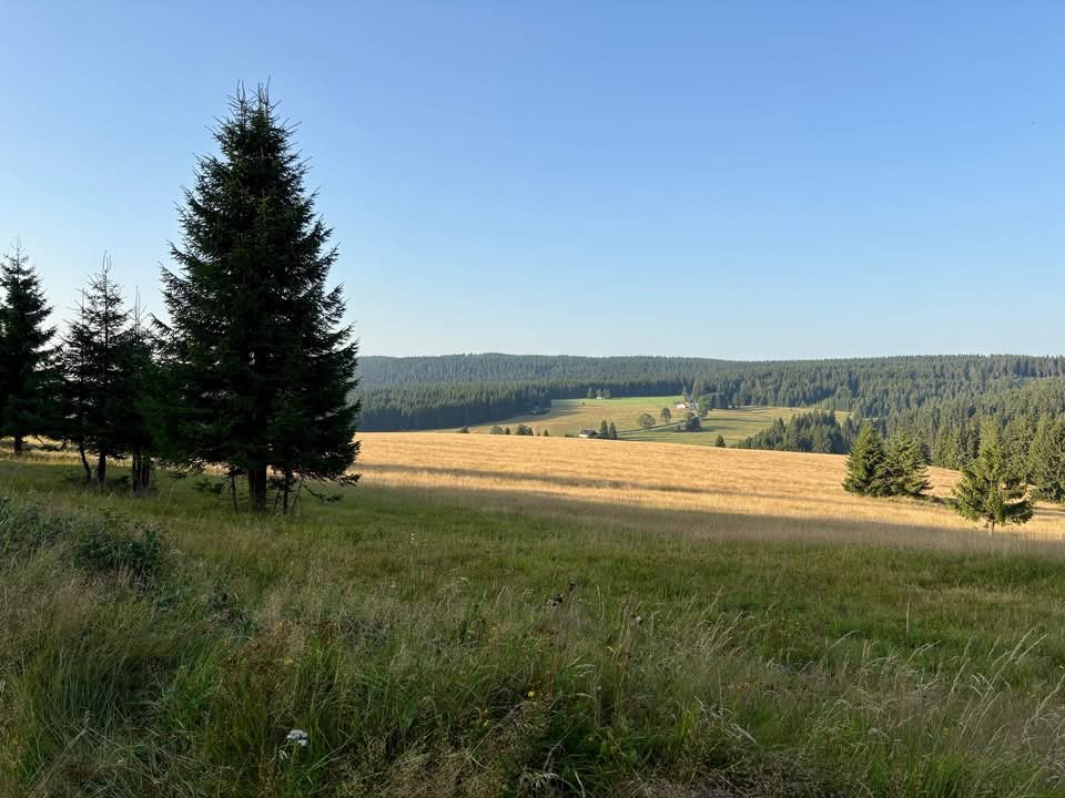 jaroslav73's tweet image. Dneska poslední fajnový cour po Kruškách. Vedro už je i tady fest, psiska toho mají tak akorát, zítra to balíme.

Tak čau, Krušné hory, bylo to hodně povedených pár dní 👍

#léto #výlet #Erzgebirge