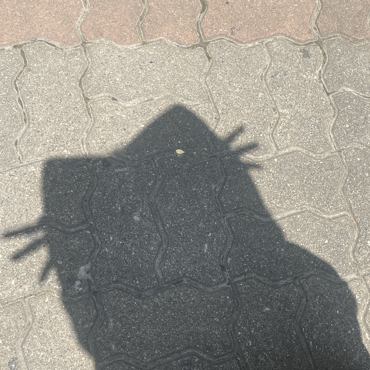 iMe_Dreamnote's tweet image. [🎧]

행운을 부탁해

📍 on.soundcloud.com/4MRplxIDwOYKHA…

#드림노트 #DreamNote
#보니 #BoNi
#음악구름