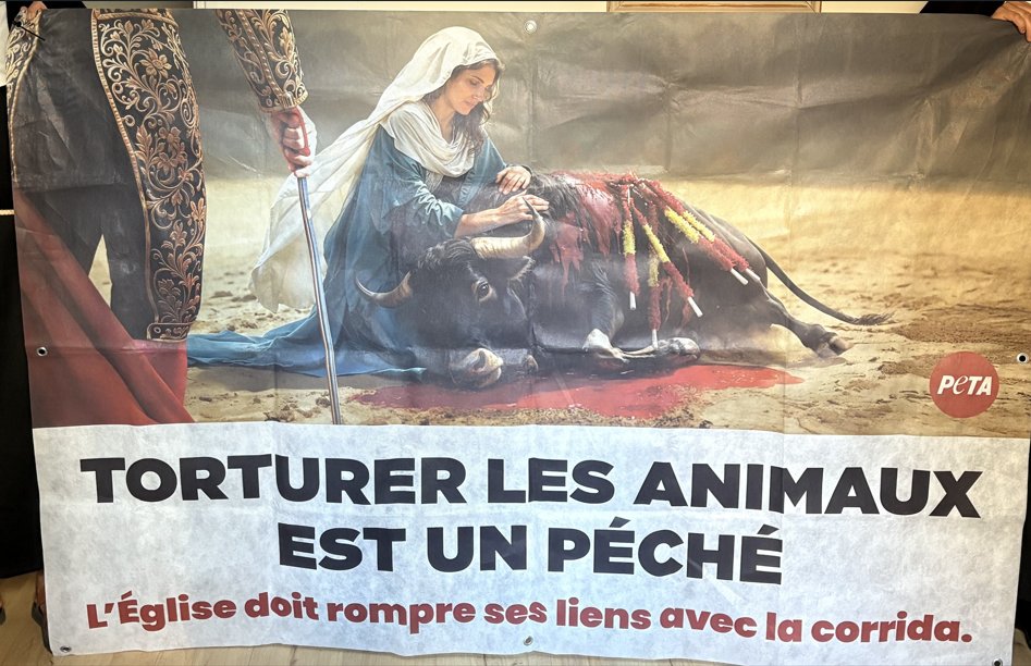 BÉZIERS - Feria de Béziers : deux « nonnes » perturbent la procession de la Vierge de Robert Ménard pour dénon #beziers ift.tt/dMBAtYR