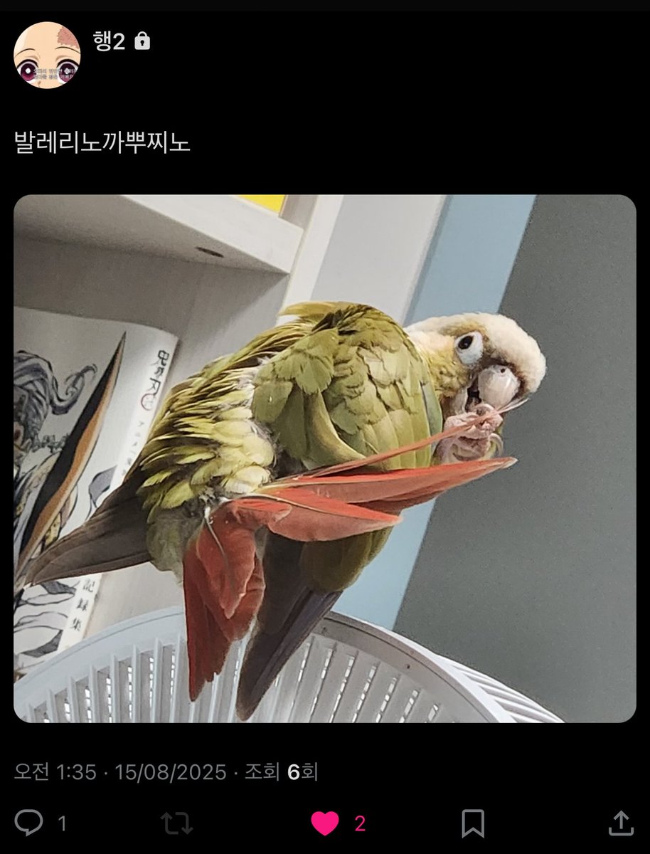 6lEH_'s tweet photo. 발레리노까뿌찌노 https://t.co/aZ3LFmKXum
