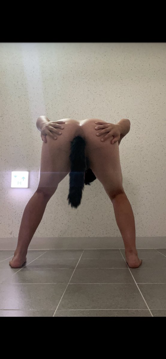 xecxxx00's tweet photo. 야노하는데 딜도에 정조대에 검스까지ㅋㅋㅋ첫번째 사진은 완전 개 그자체임
#멜섭 #박제 #박제플 #펨돔 #야노 https://t.co/pkQvgafsPd