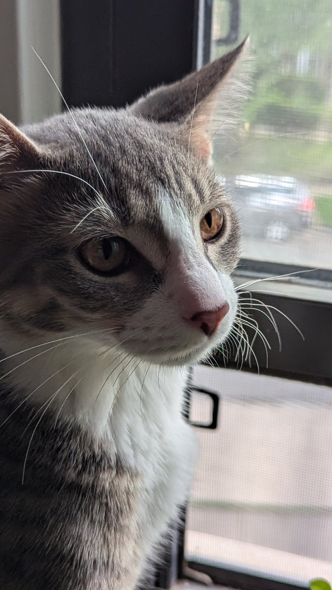sludgesage's tweet photo. She's amazing when she isn't being an actual gremlin https://t.co/u524wY4hAK