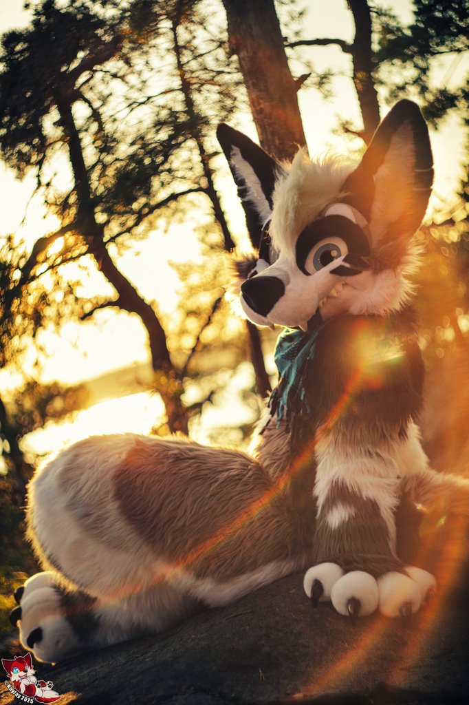 There's always a tomorrow waiting 🌄
📸 • <a href="/KayJayHusky/">Inactive for now</a>!