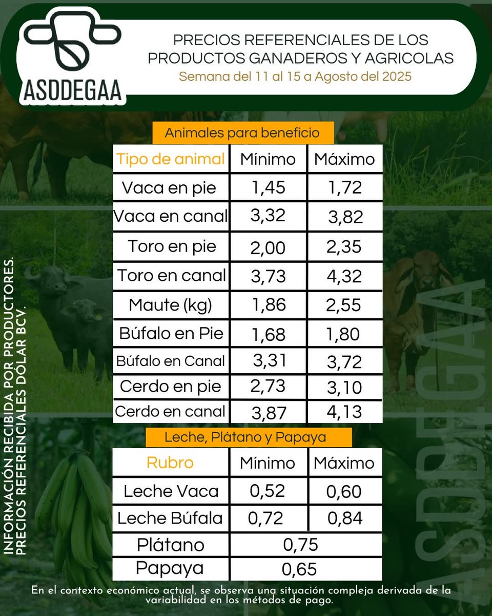 campocafeciudad's tweet photo. PRECIOS REFERENCIALES DE LOS PRODUCTOS GANADEROS Y AGRÍCOLAS EN EL VIGÍA.  

Fuente: Asociación de Ganaderos y Agricultores Alberto  Adriani  (ASODEGAA), Estado #Mérida. Instagram @asodegaa

Semana del 11 al 15 de agosto de 2025.

#Venezuela #Ganadería #CampoCafeCiudad https://t.co/M3iZNrKK1Q