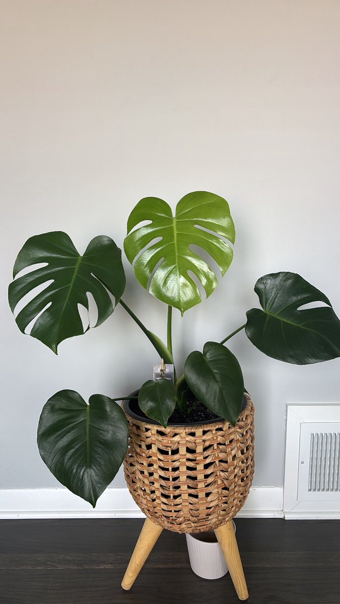 life update 🧿💌