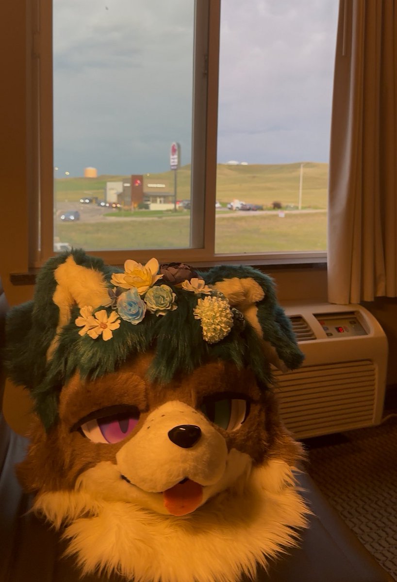 FrizkFur's tweet photo. beautiful scenery https://t.co/7CnjlA8Qc1