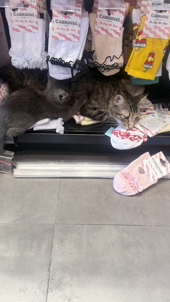 Ritim İstanbul <a href="/watsonsturkiye/">Watsons Türkiye</a> insan sağlığını düşündüğünüz için teşekkürler 👏👏