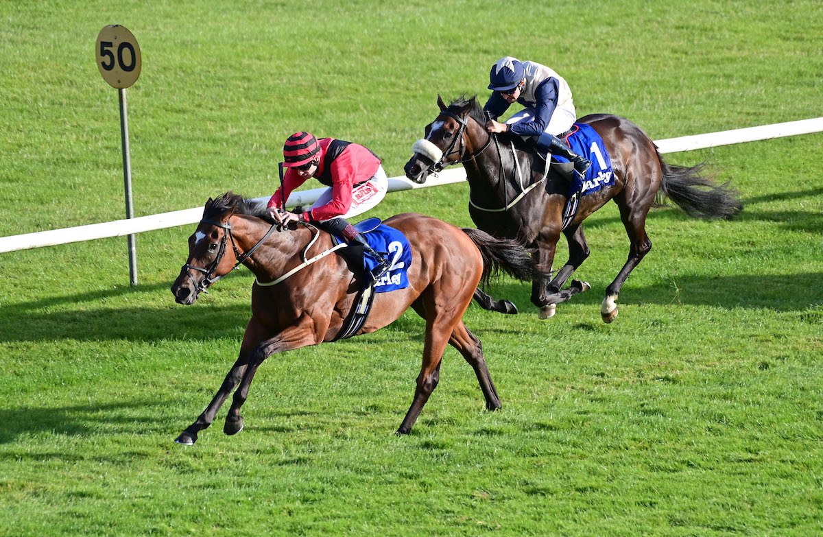 Barton Stud (@bartonstud1) on Twitter photo Congratulations to Eleanora Kennedy & Ger Lyons on winning the Listed Hurry Harriet Stakes at <a href="/gowranpark/">Gowran Park Racing</a>. Sold by Barton at Tattersalls December Sale to Gaelic Bloodstock. Congratulations to her new connections 👏🏼 Congratulations to Eleanora Kennedy & Ger Lyons on winning the Listed Hurry Harriet Stakes at <a href="/gowranpark/">Gowran Park Racing</a>. Sold by Barton at Tattersalls December Sale to Gaelic Bloodstock. Congratulations to her new connections 👏🏼
