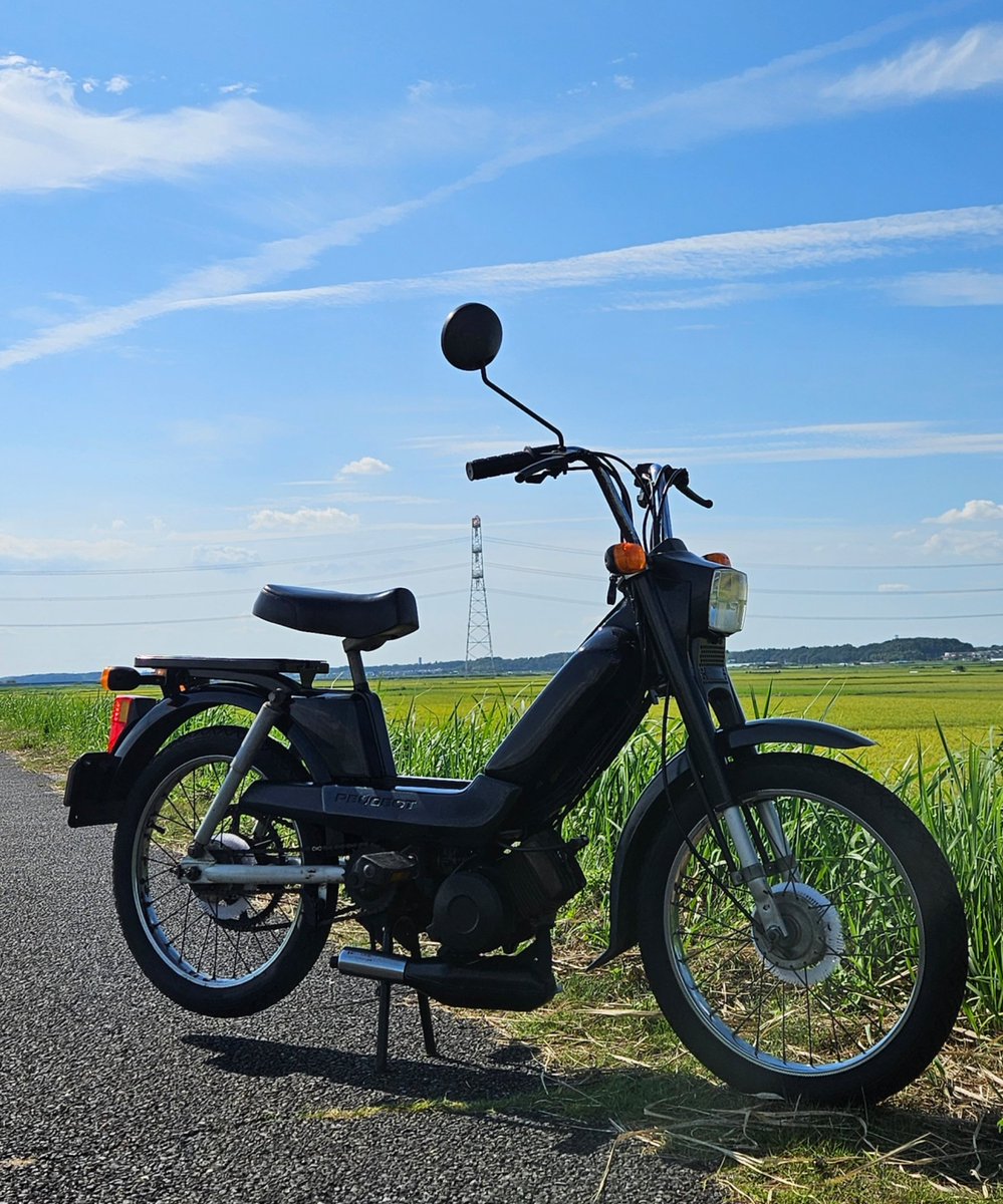 AwEzAvEhAlncJT7's tweet photo. 夏空と広がる景色、夏草の匂い
ゆっくり走るのもいいもんだ🚲💨💨

#プジョー
#プジョーヴォーク
#バイクのある生活 
#バイク https://t.co/nJ2eXdmOI9