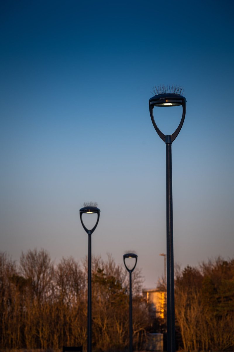 kingfisherlight's tweet photo. The AURIGA 2.0 – A sleek, high-performance luminaire designed for street, urban, and pathway lighting.

Learn more here: https://t.co/MGd6jdCCGR

📞 +44 (0)1623 415900
📨 sales@kingfisherlighting.com https://t.co/ZWO4IwRe5S