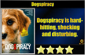 andy spinoza tweet media