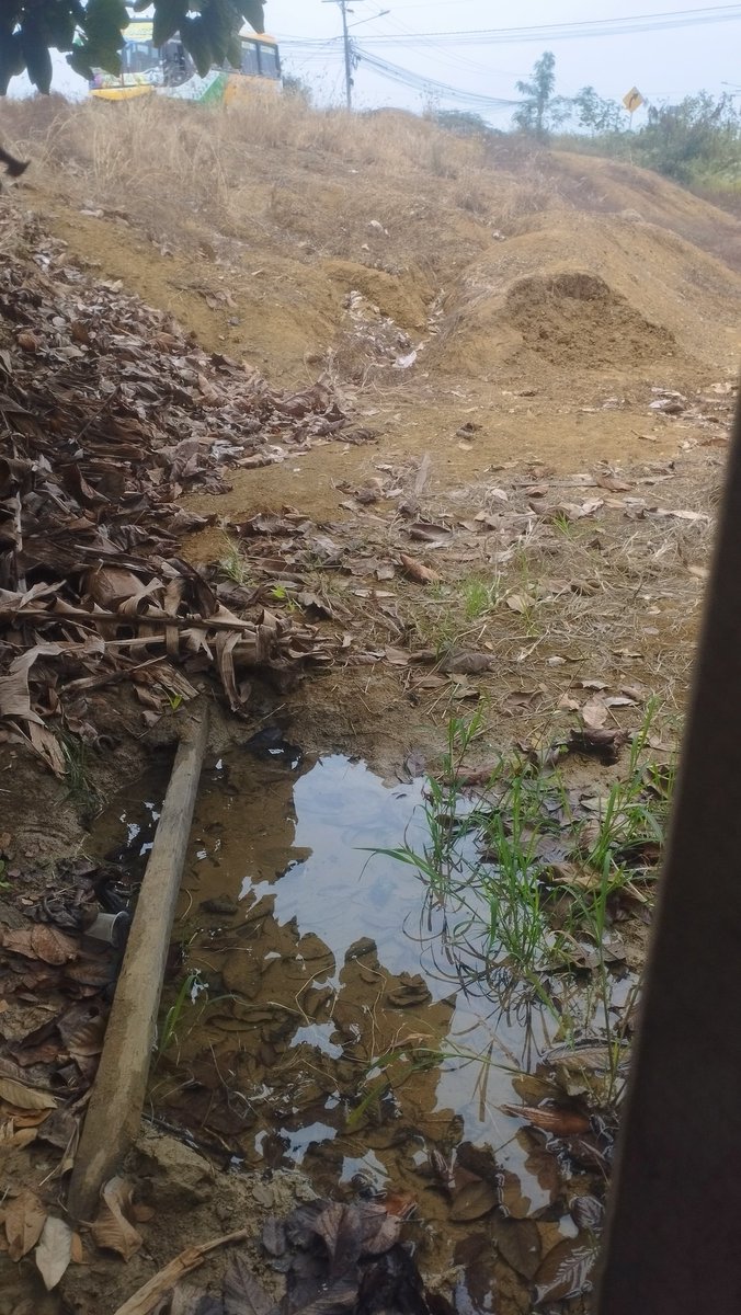Señores <a href="/interagua/">Interagua C. Ltda</a>  hay una fuga de agua en el barrio San Francisco de Data de Posorja. Como referencia hay un kiosko al lado de la vía
