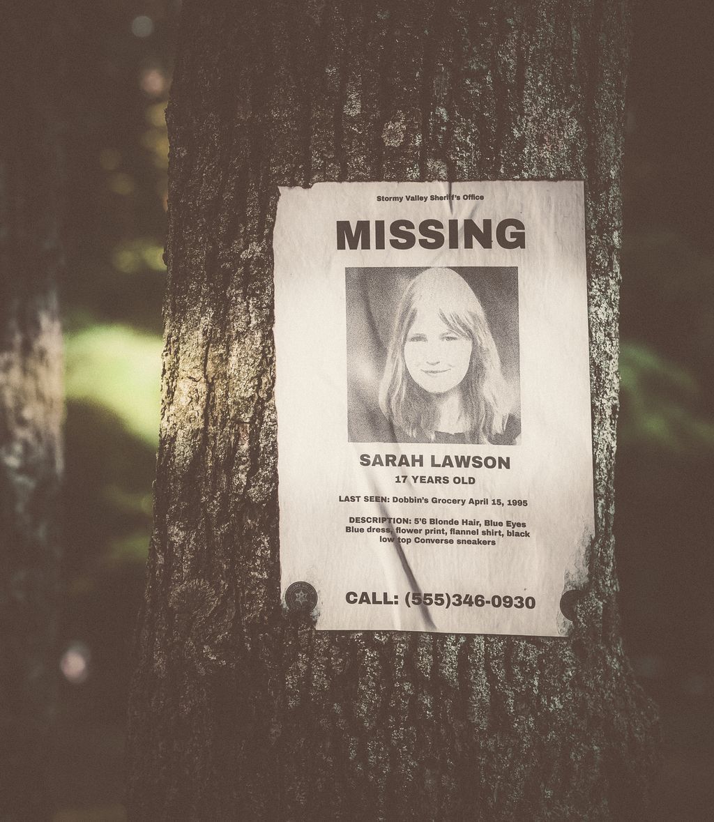 April 15, 1995. Sarah Lawson walked into Dobbin’s Grocery.
She never walked out.

Some cases fade.
This one never did.

#StormyValley #ColdCase #Missing #PsychThriller #DebutNovel #FallReads