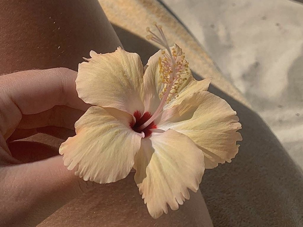 inscendiary's tweet image. Took the pics and forgot the part where I post them 🏖️