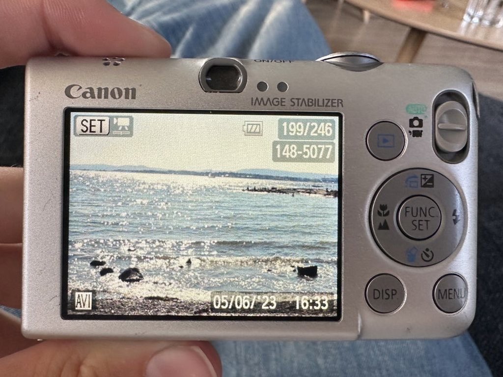 inscendiary's tweet image. Took the pics and forgot the part where I post them 🏖️