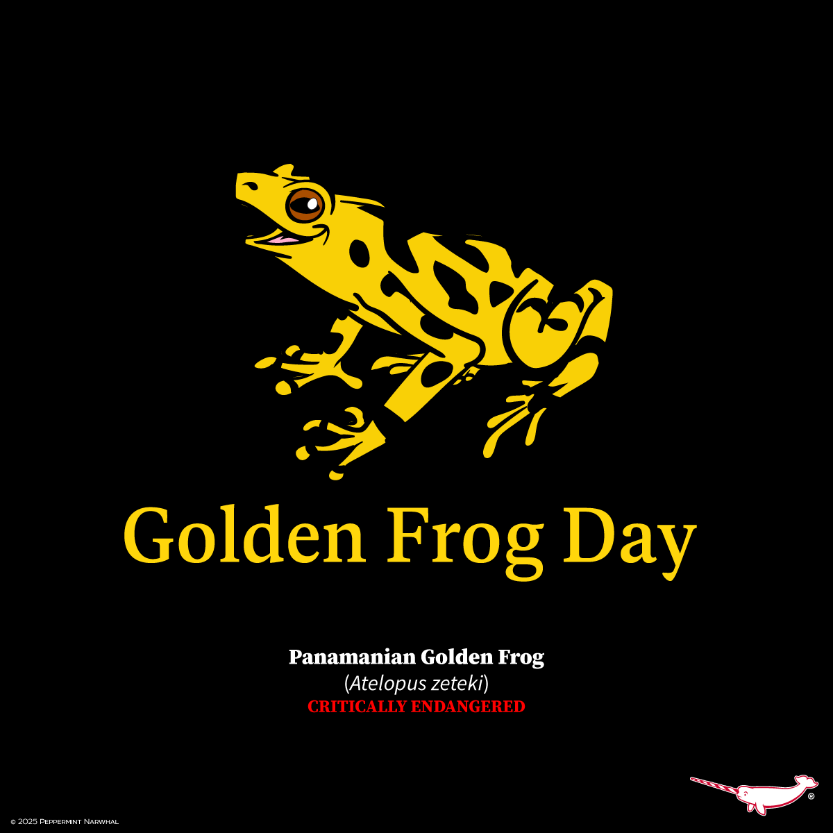 Happy #GoldenFrogDay!

Shop #PeppermintNarwhal:
peppermintnarwhal.com

Int'l Shoppers visit our #Etsy store:
etsy.com/shop/Peppermin…