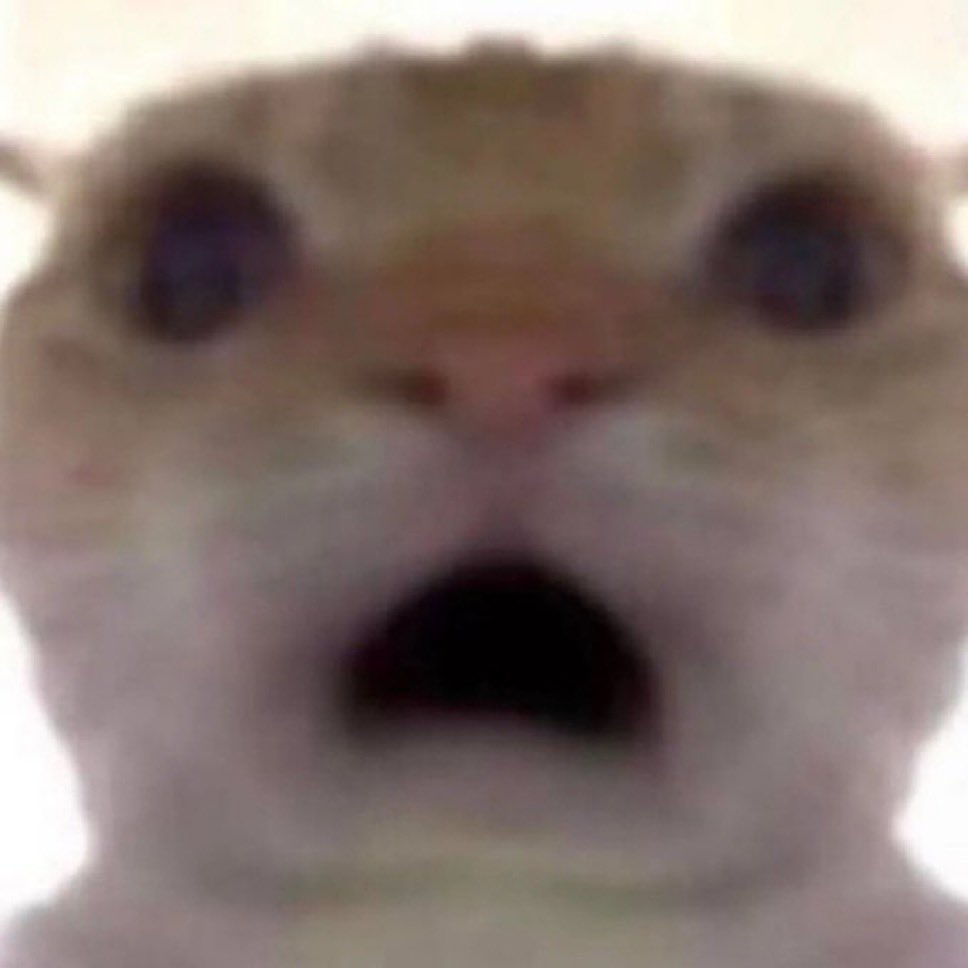 𝖧͟𝖺͟𝗇͟𝗃͟𝗂͟𝗇. tweet media