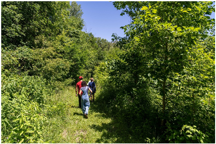 HungryPests tweet media