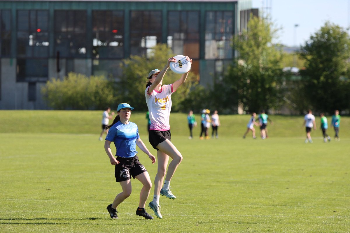 DH Ultimate tweet media