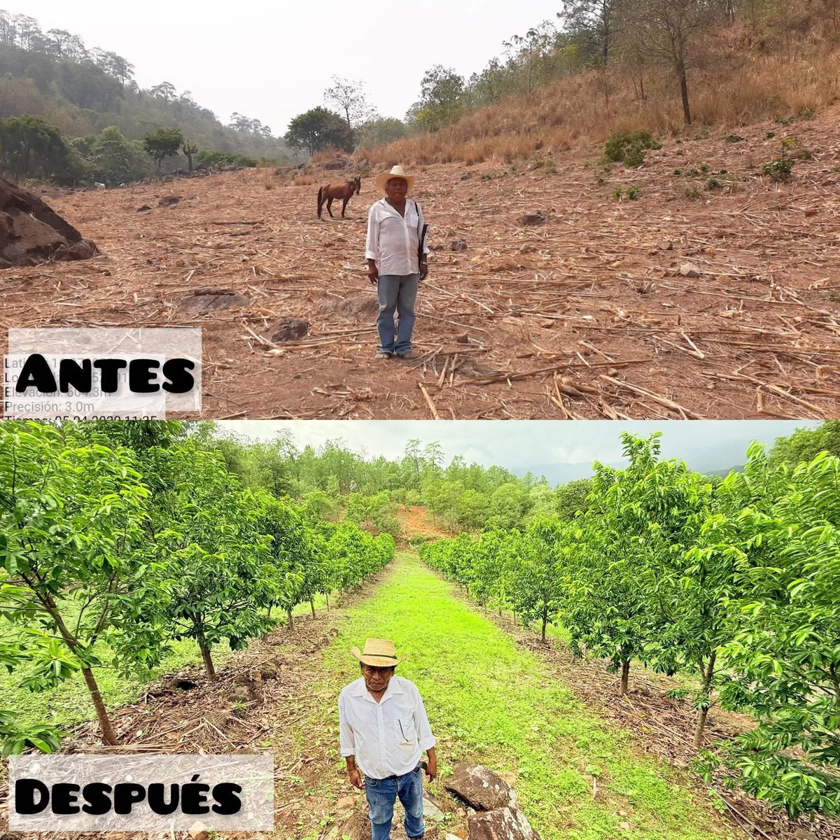 tori_noticias's tweet photo. ¿Por qué esto no lo pasan en la Televisión?👊🏽👊🏽❤️🇲🇽

Es un orgullo que el programa Sembrando Vida sea todo un exito. La gente trabajadora de nuestro México. https://t.co/JiZBTePnm0