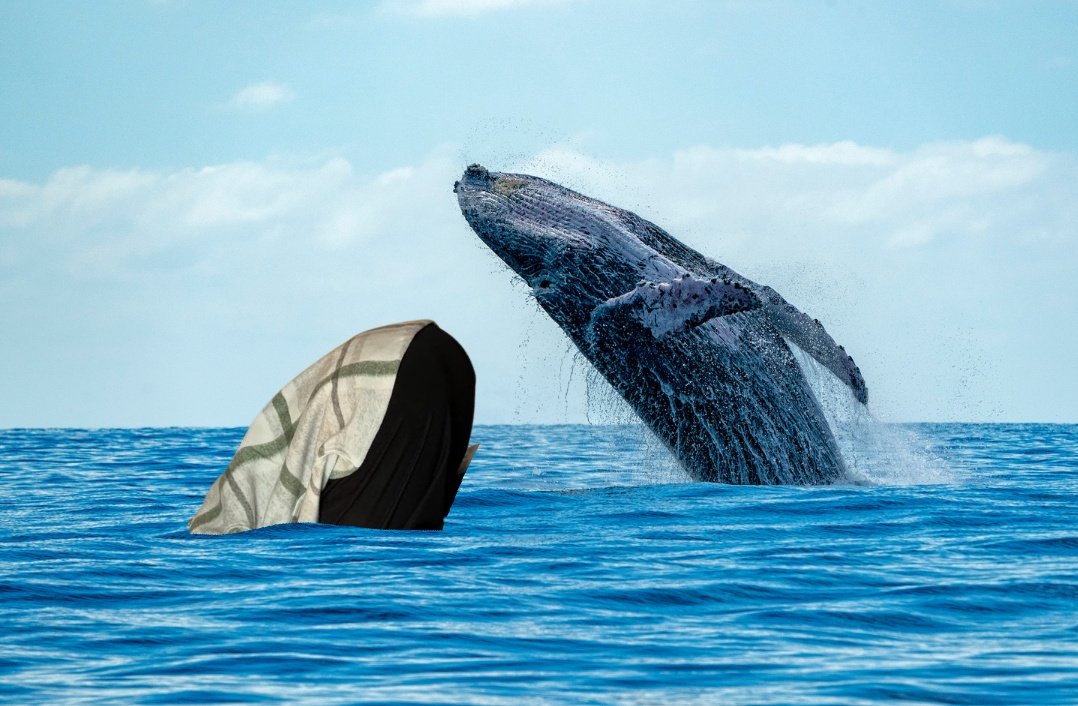 อาดหลาด (@atlasardlard) on Twitter photo 