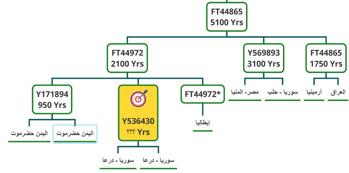 j2b-M205 tweet media