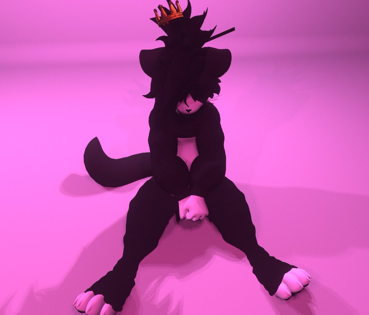 700!!!😧 You all are too epic, please don’t go bald 🙏
On a serious note THANK YOUU!!! I love you all &lt;33 

PS: I won’t be posting as much as I hardly have time to take pictures now :( but I will try to get as many as I can whenever I do so you can keep getting kitty pics :3