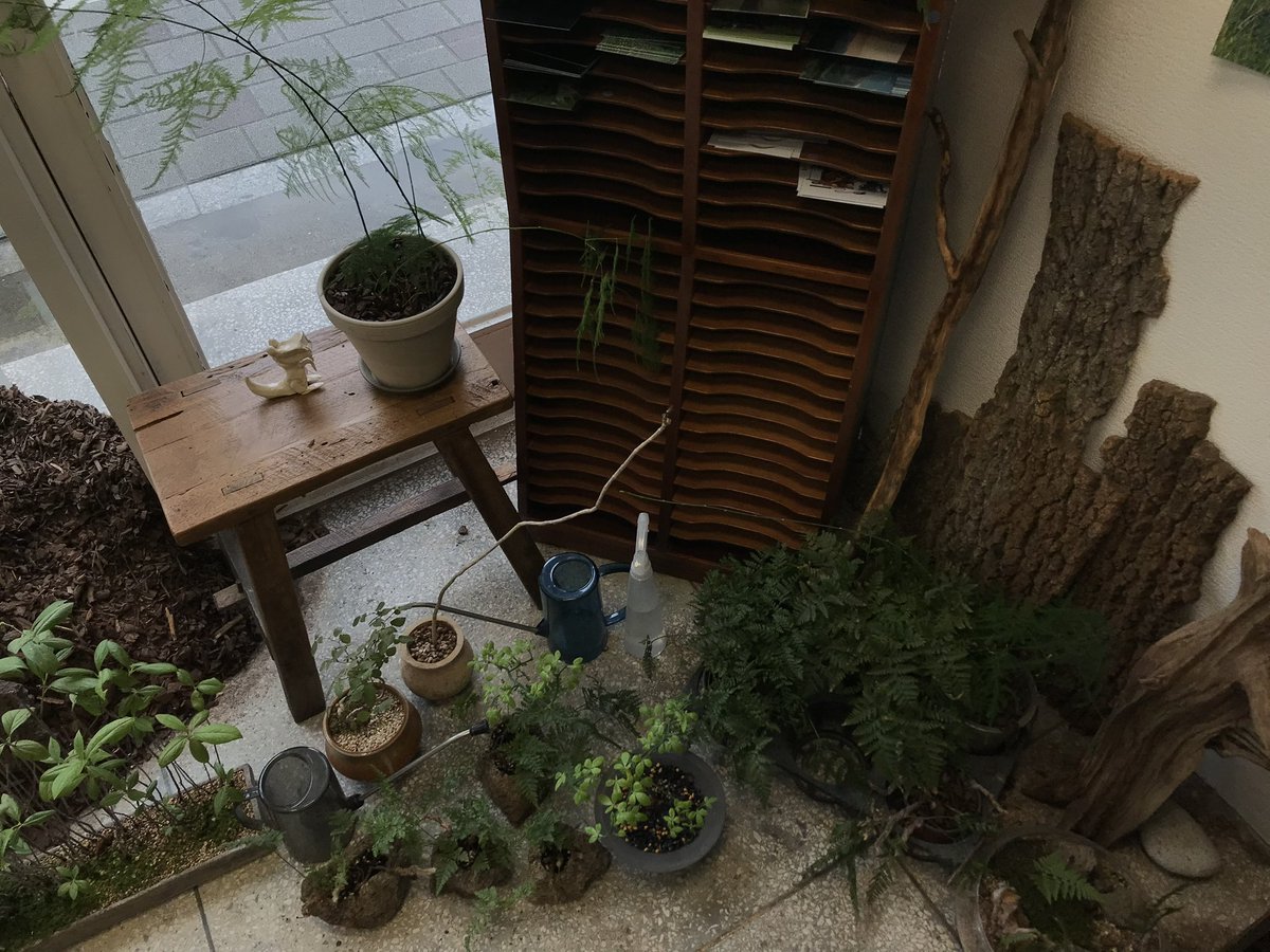 1박2일 강릉 여행 타래🫂💤